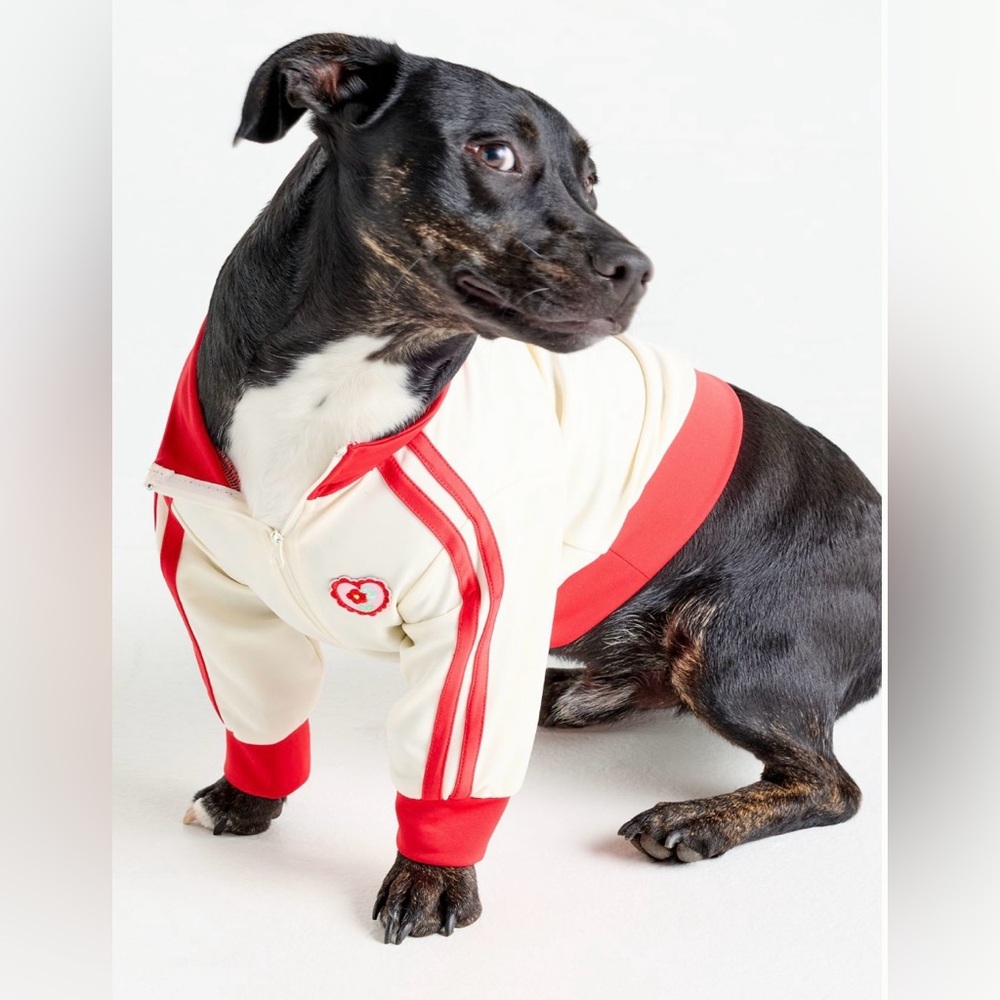 Anthropologie/FURB Ace of Hearts Pet Track Jacket in XS & small/2 available-NWT